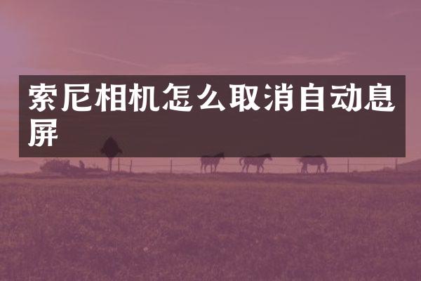索尼相机怎么取消自动息屏
