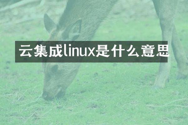 云集成linux是什么意思