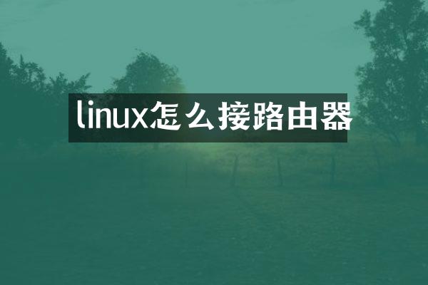 linux怎么接路由器