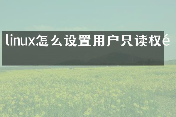 linux怎么设置用户只读权限