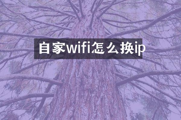 自家wifi怎么换ip