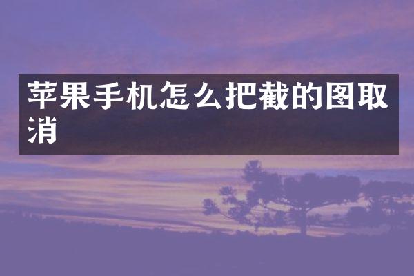 苹果手机怎么把截的图取消