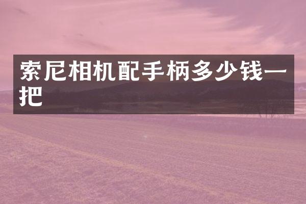 索尼相机配手柄多少钱一把