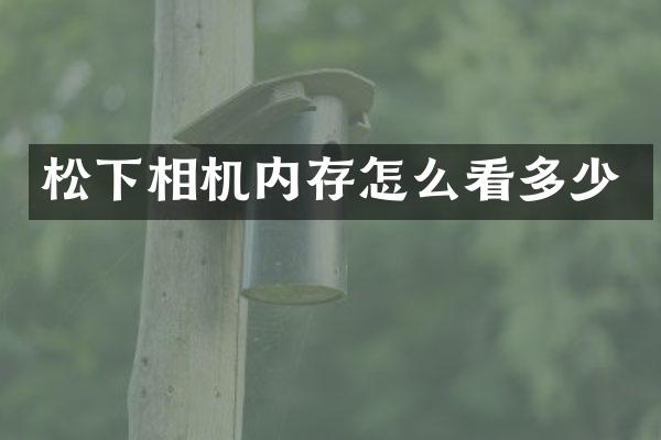 松下相机内存怎么看多少