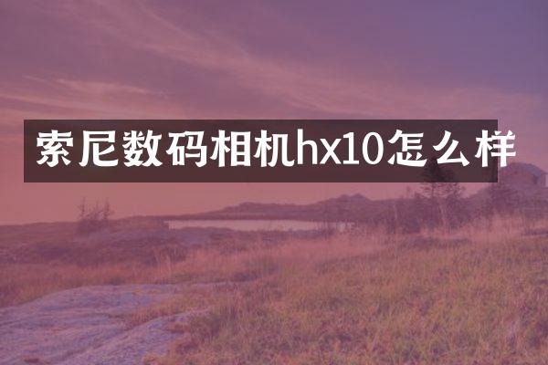 索尼数码相机hx10怎么样