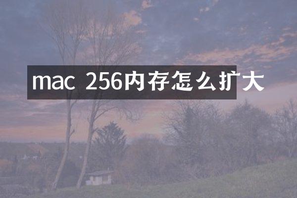 mac 256内存怎么扩大