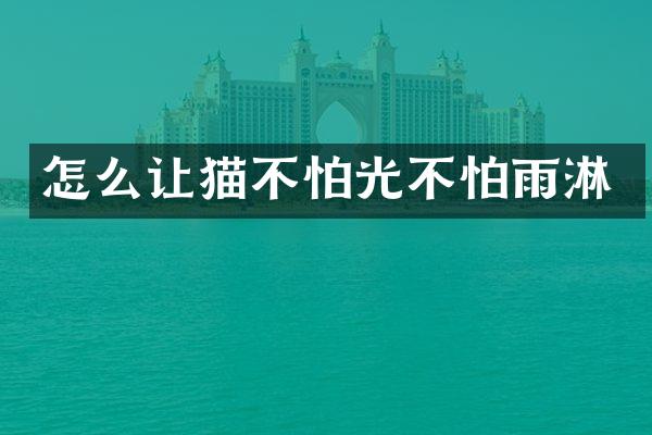 怎么让猫不怕光不怕雨淋