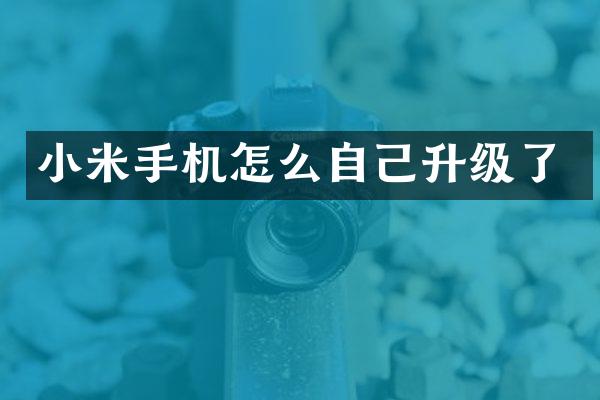 小米手机怎么自己升级了