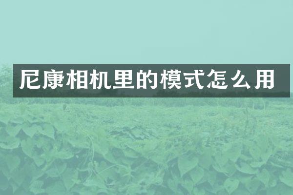 尼康相机里的模式怎么用
