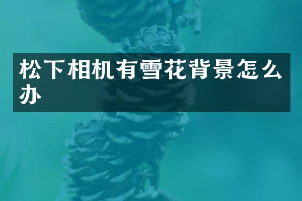 相机有雪花背景怎么办