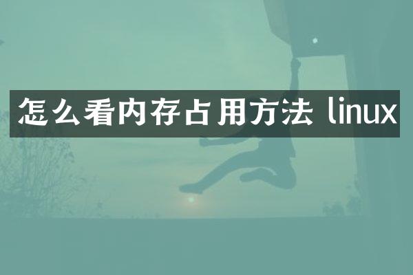 怎么看内存占用方法 linux
