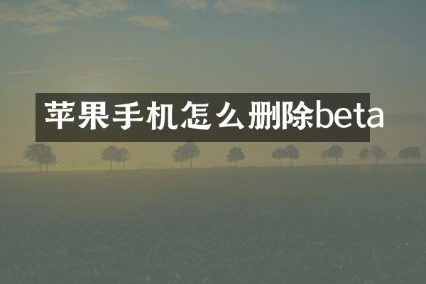 苹果手机怎么删除beta