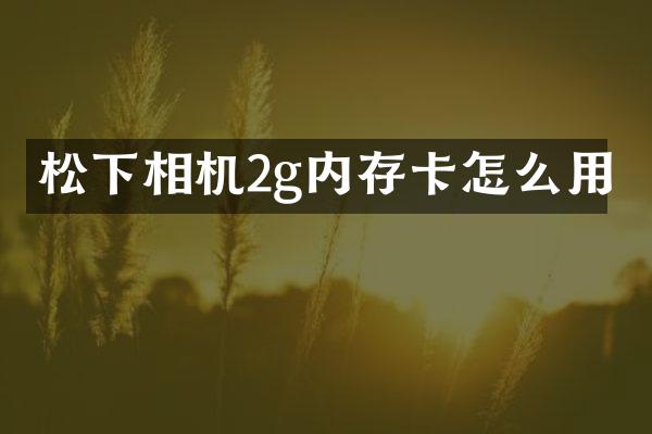 相机2g内存卡怎么用