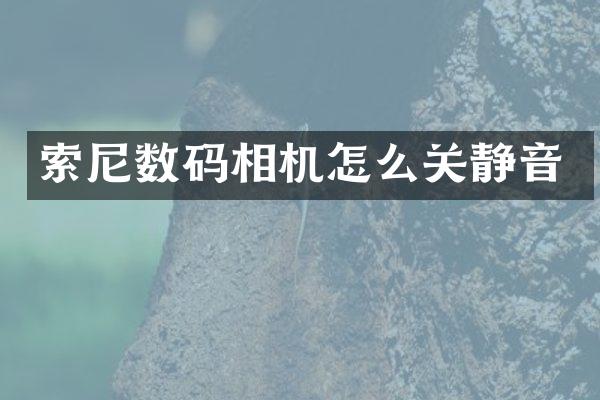 索尼数码相机怎么关静音