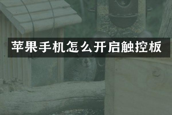 苹果手机怎么开启触控板