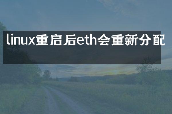 linux重启后eth会重新分配吗