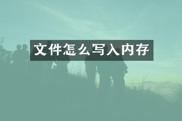 文件怎么写入内存