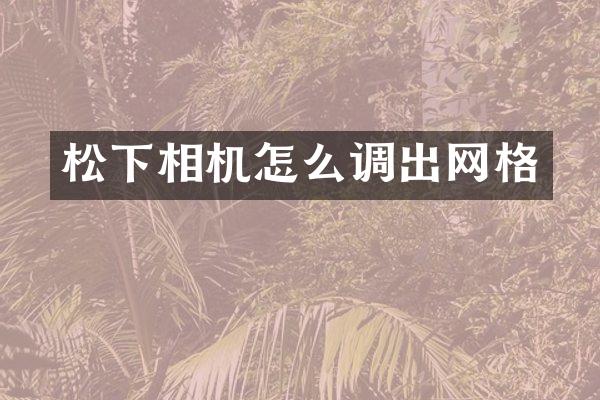 相机怎么调出网格