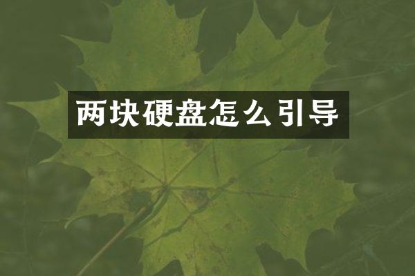 两块硬盘怎么引导