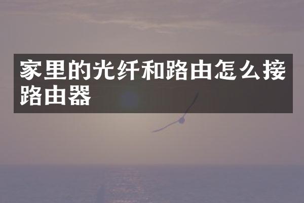 家里的光纤和路由怎么接路由器