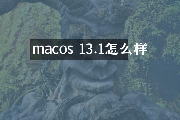macos 13.1怎么样