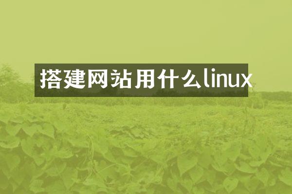 搭建网站用什么linux