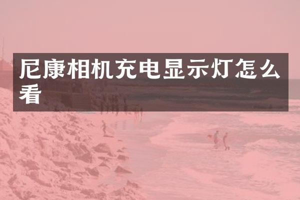 尼康相机充电显示灯怎么看