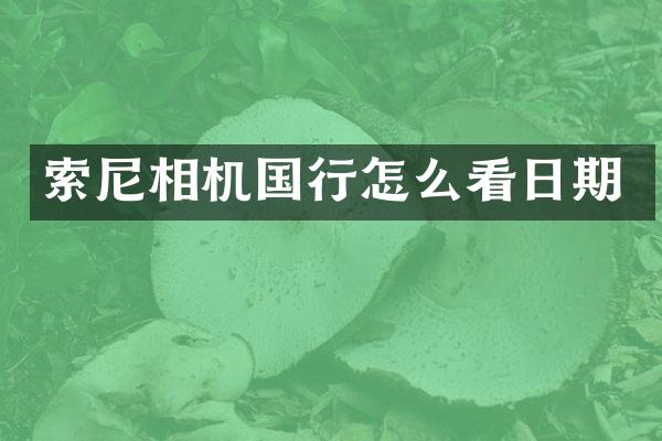 索尼相机国行怎么看日期