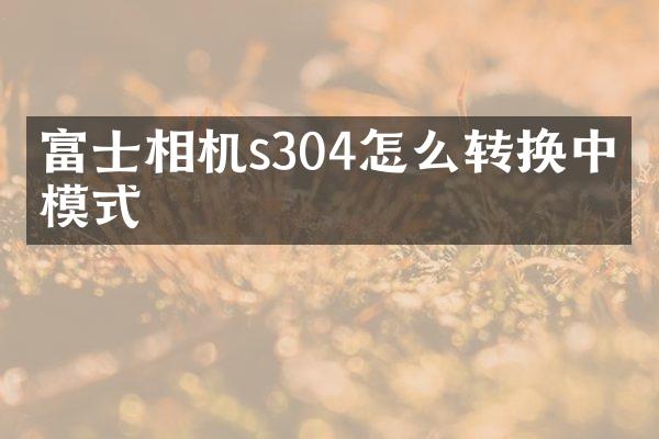 富士相机s304怎么转换中文模式