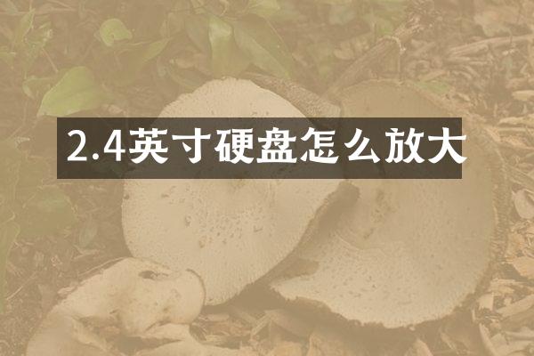 2.4英寸硬盘怎么放大