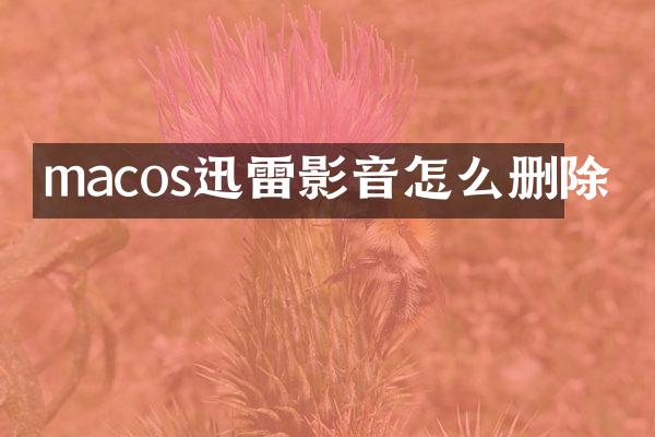 macos迅雷影音怎么删除
