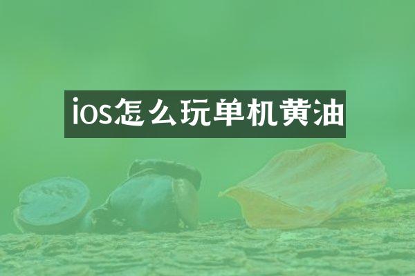 ios怎么玩单机黄油