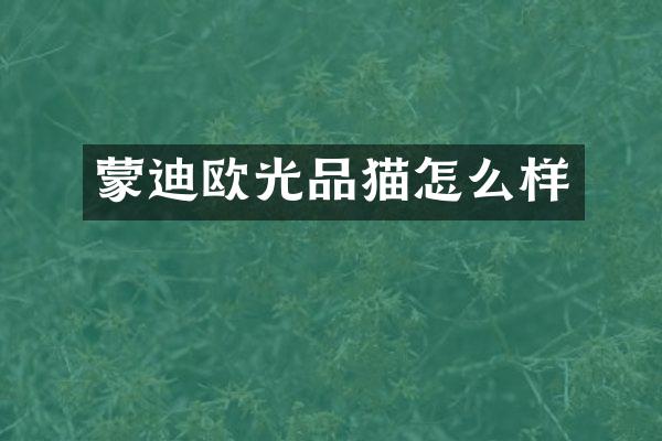 蒙迪欧光品猫怎么样