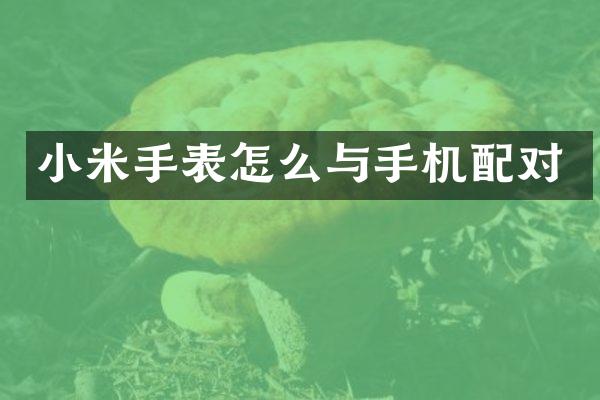 小米手表怎么与手机配对