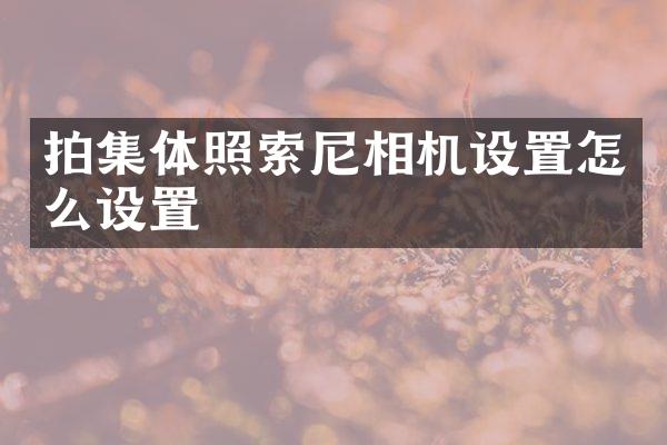 拍集体照索尼相机设置怎么设置