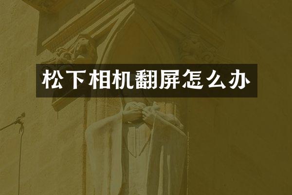 相机翻屏怎么办