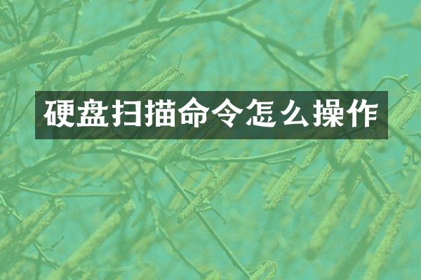 硬盘扫描命令怎么操作