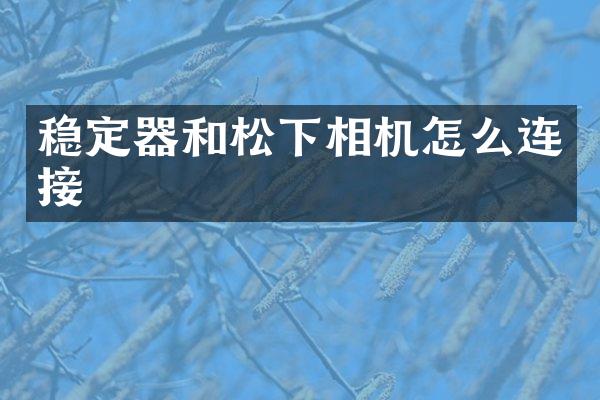 稳定器和相机怎么连接