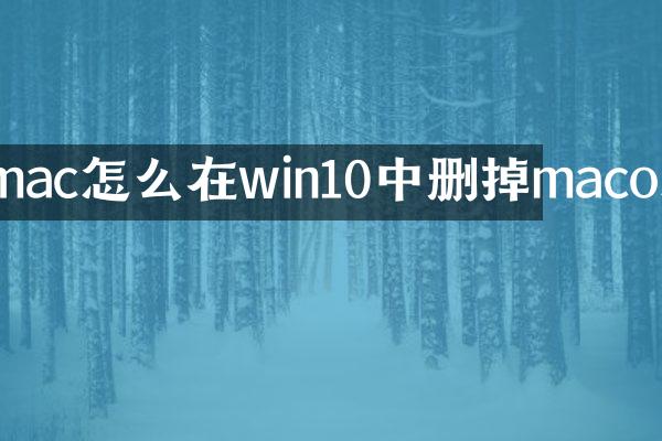 mac怎么在win10中删掉macos