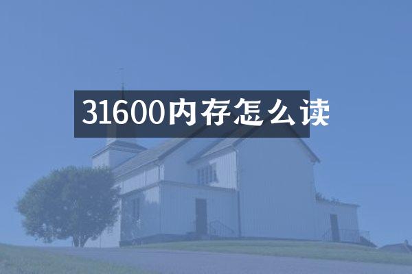 31600内存怎么读