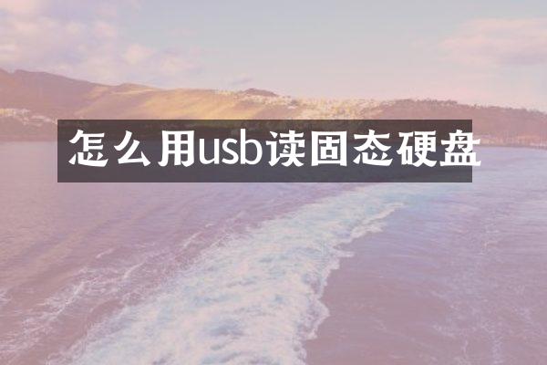 怎么用usb读固态硬盘