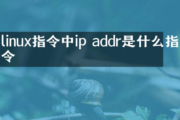 linux指令中ip addr是什么指令