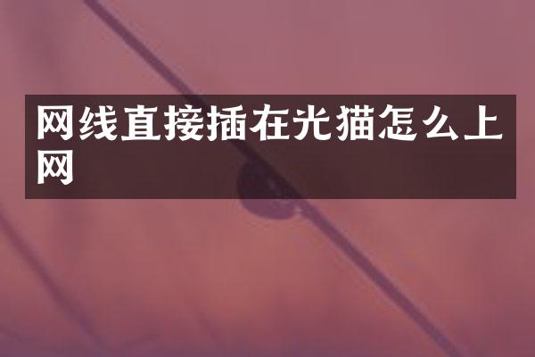 网线直接插在光猫怎么上网