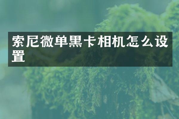 索尼微单黑卡相机怎么设置