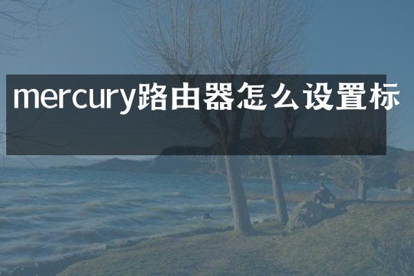 mercury路由器怎么设置标准
