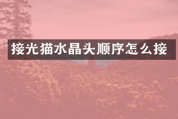 接光猫水晶头顺序怎么接