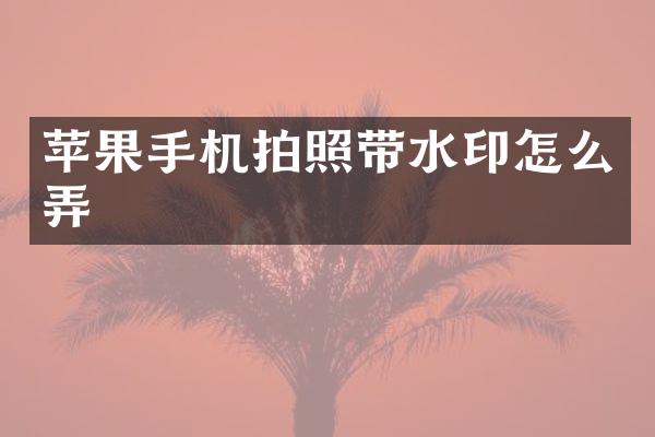 苹果手机拍照带水印怎么弄