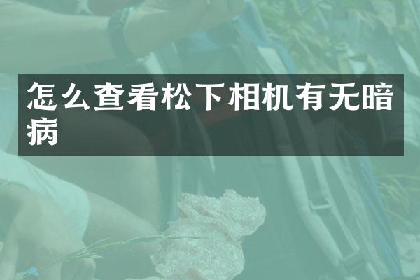 怎么查看相机有无暗病