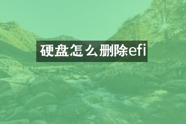 硬盘怎么删除efi