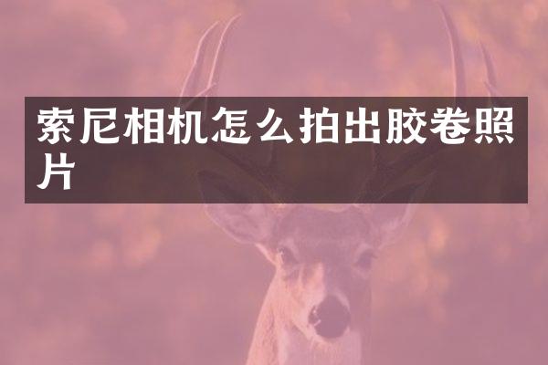 索尼相机怎么拍出胶卷照片